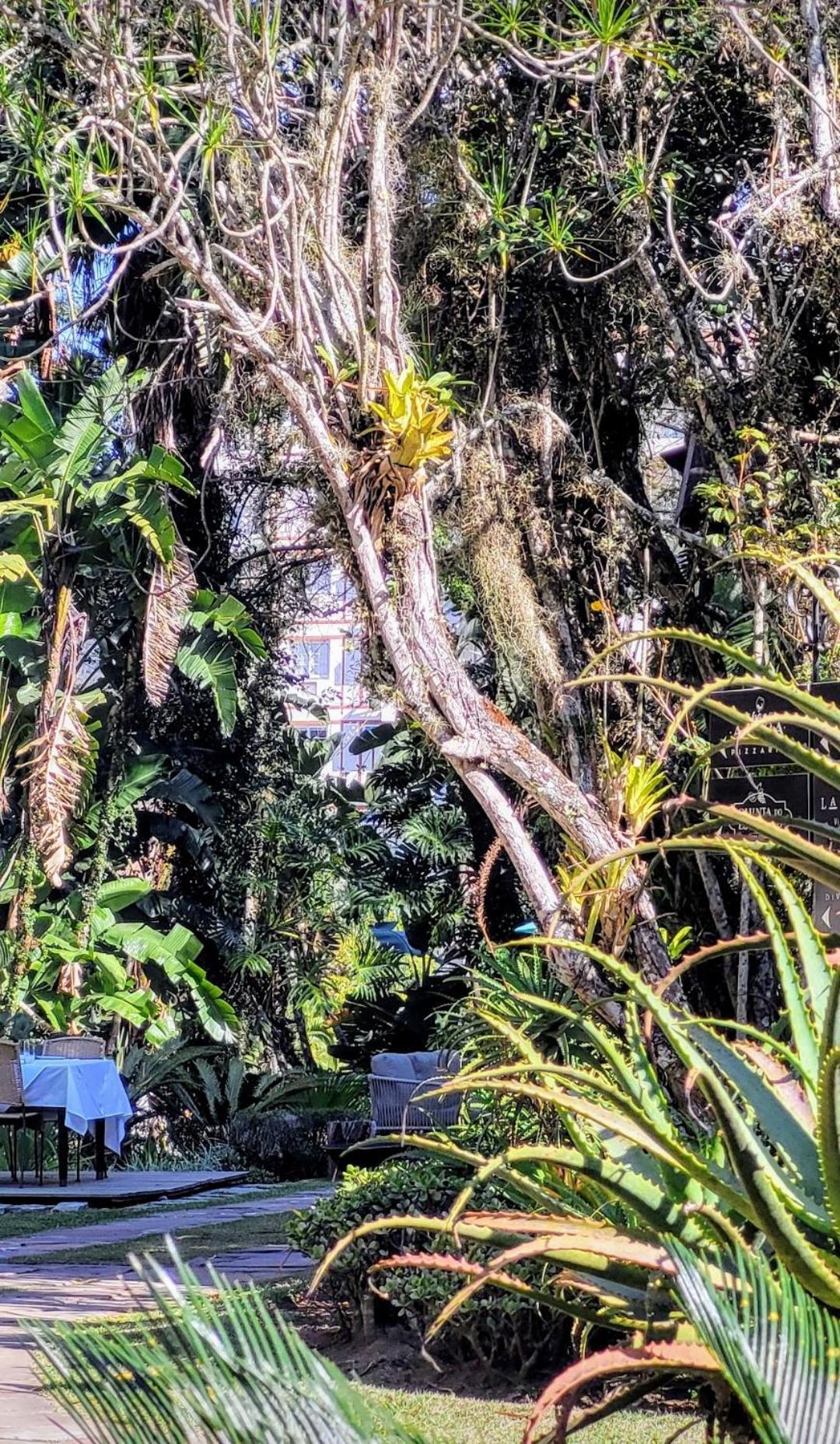 Granja Brasil Puc 10 2 Ξενοδοχείο Itaipava Εξωτερικό φωτογραφία